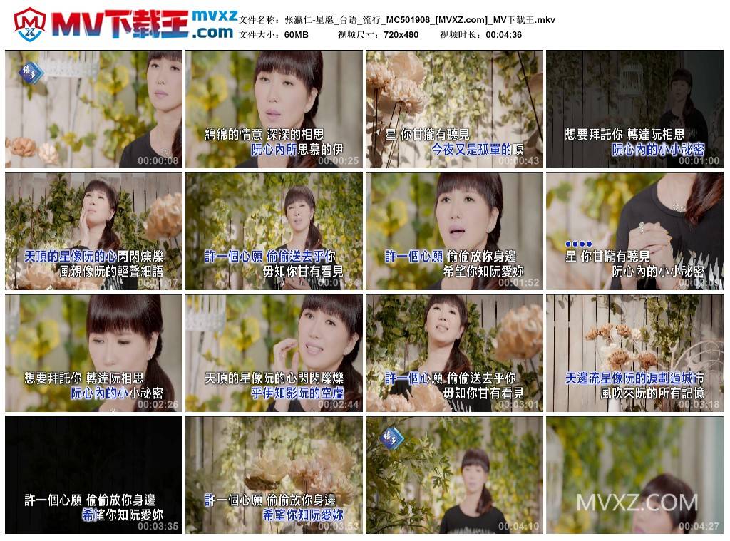 张瀛仁-星愿_台语_流行_MC501908